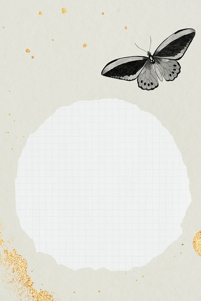 Butterfly with grid round frame