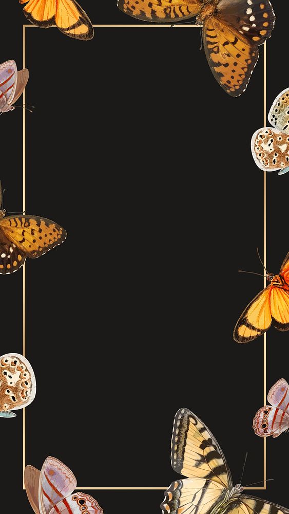 Gold frame with butterfly patterned mobile phone wallpaper vector
