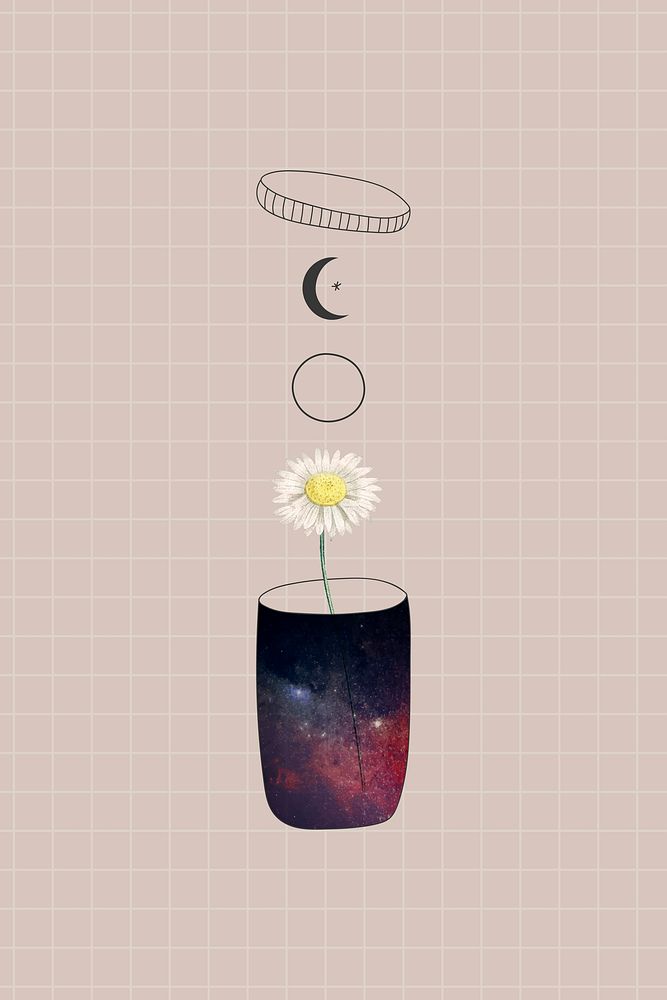 Daisy in a container on a beige background vector