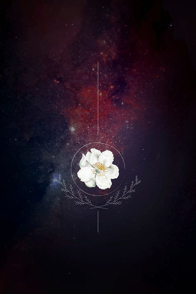 Musk rose on a galaxy background vector