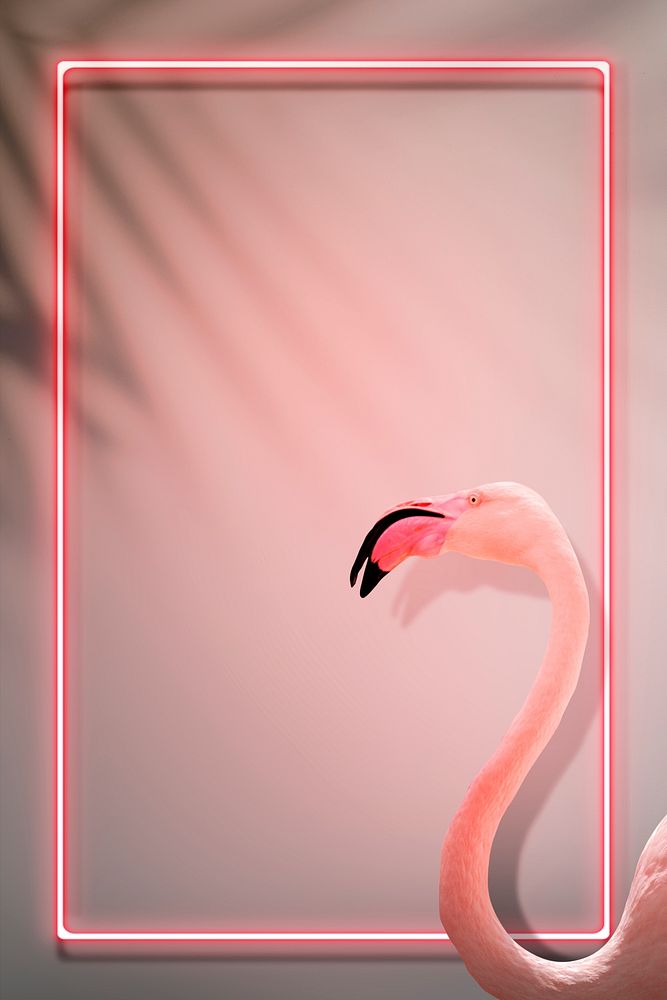 Pink flamingo decorated neon lights frame mockup design