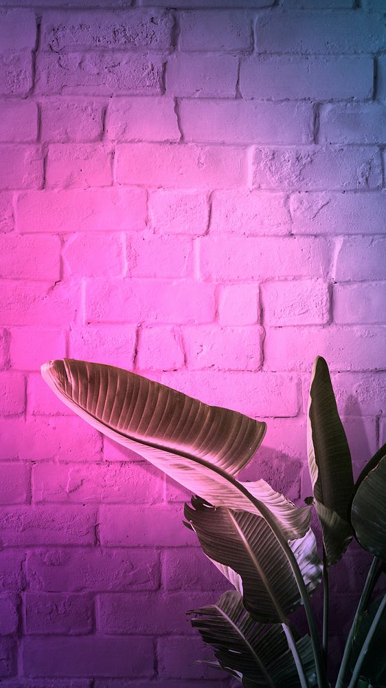Pink neon lights and a banana leaf tree phone screen wallpaper