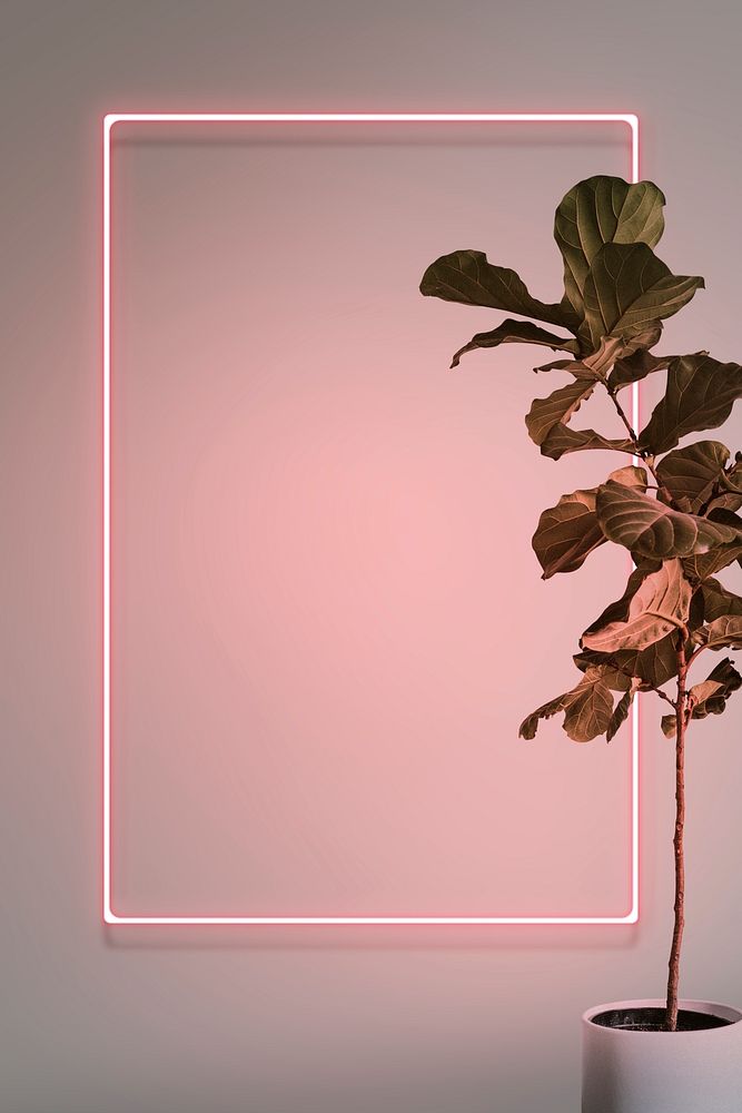 Pink neon lights frame with a fiddle leaf fig plant mockup design