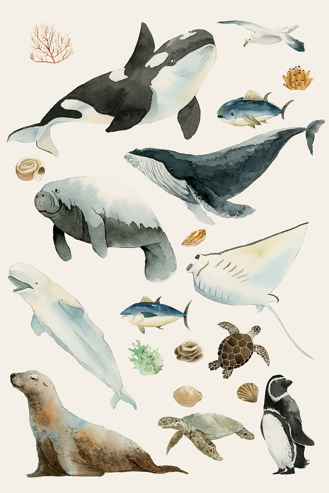 Watercolor painted aquatic animals collection vector