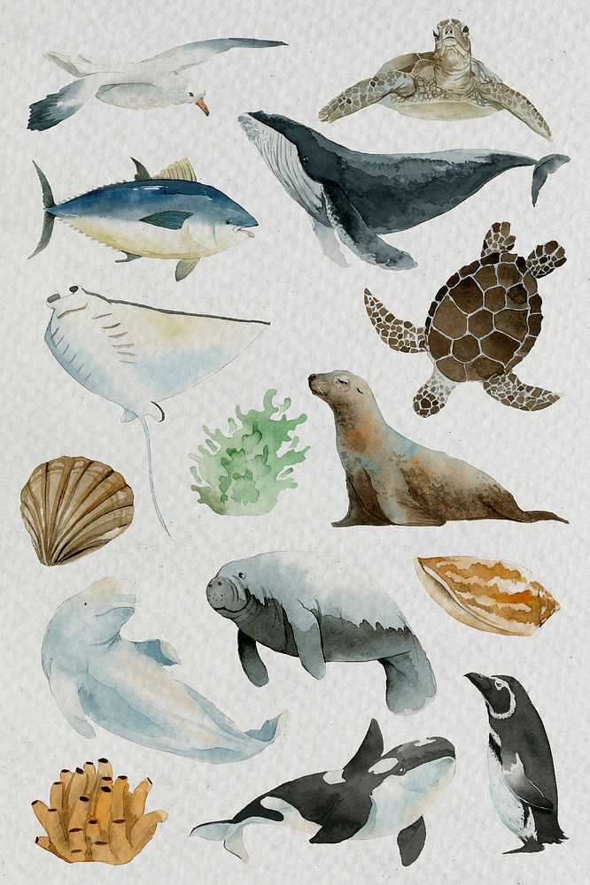 Animals from the sea in watercolor set template