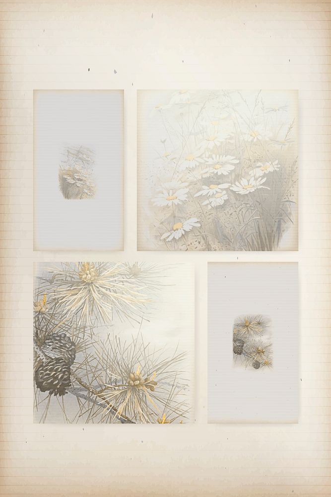 Daisy and conifer cone patterned background template set vector