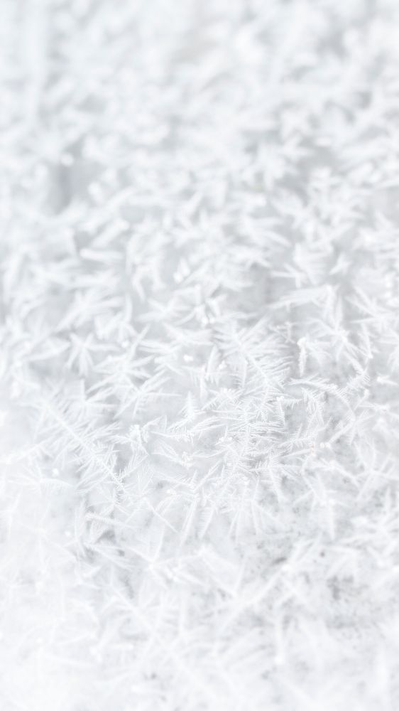 Frosty white tree branches background