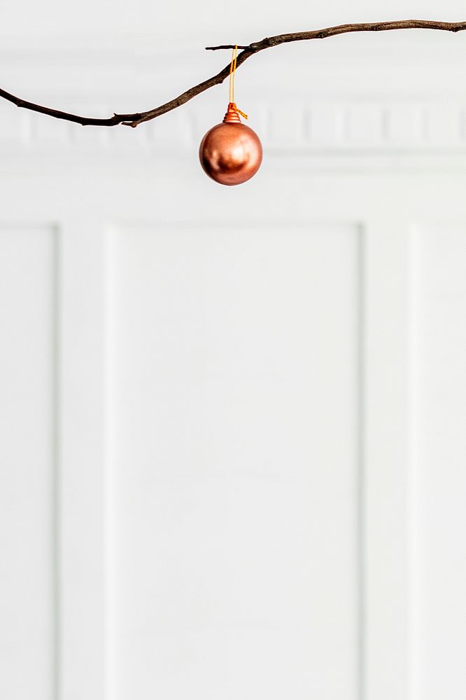 Copper bauble hanging on a branch social template