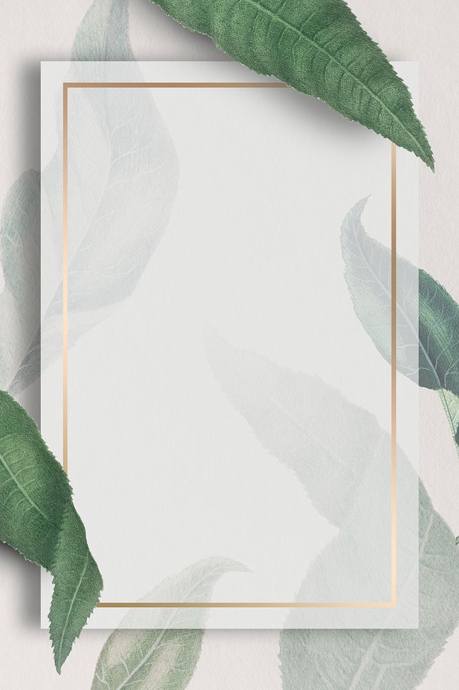 Metallic frame with peach branches patterned social template illustration