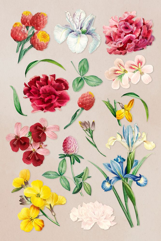 Colorful flower set on a beige background illustration