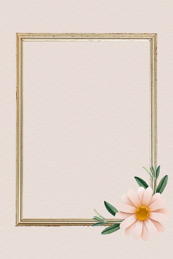 Pink daisy on a frame illustration