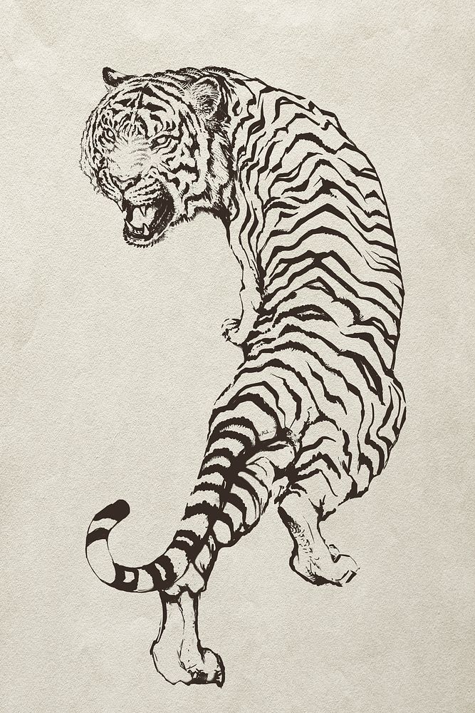 Hand drawn roaring tiger illustration