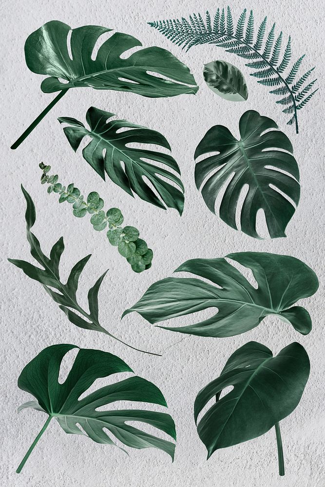 Gren tropical leaf design element set