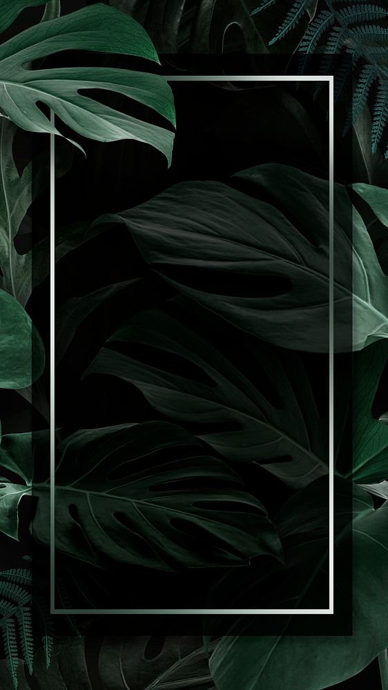 Rectangle frame with green monstera leaves background