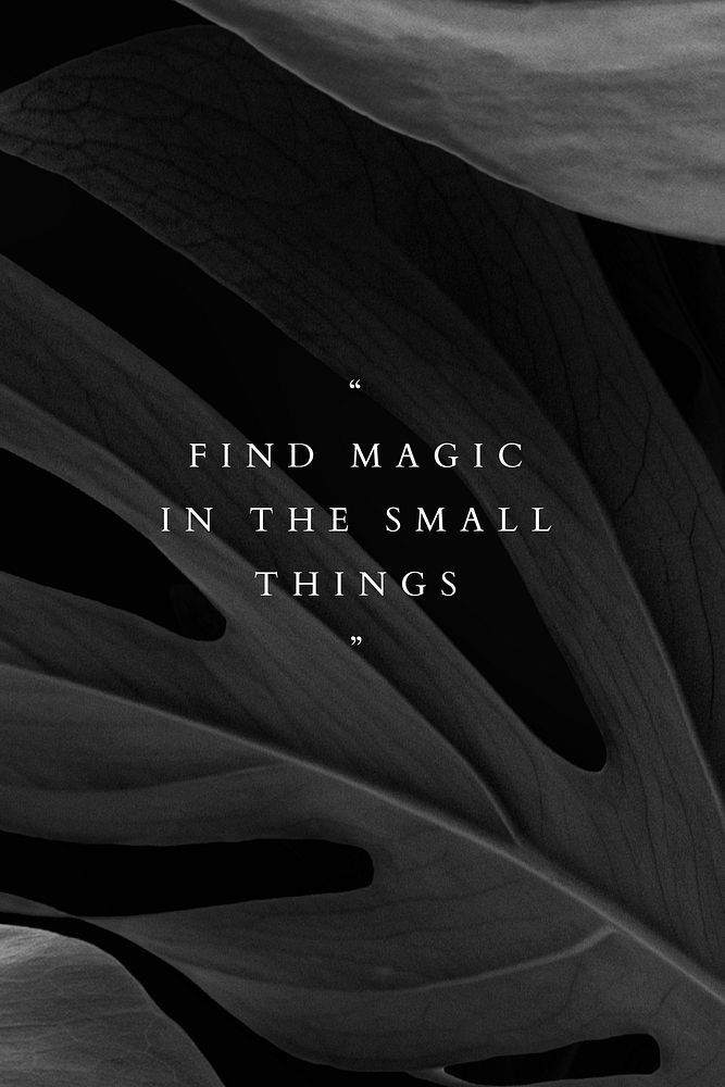 Find magic in the small things template vector