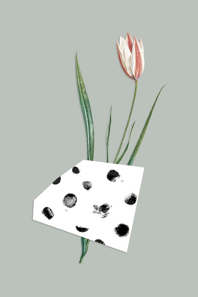 Tulip flower with washi tape on a sage green background design resource