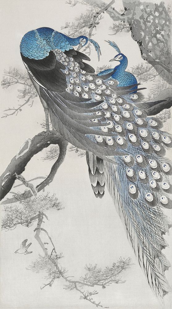 Two peacocks in a tree vintage design, remix from original painting by Ohara Koson