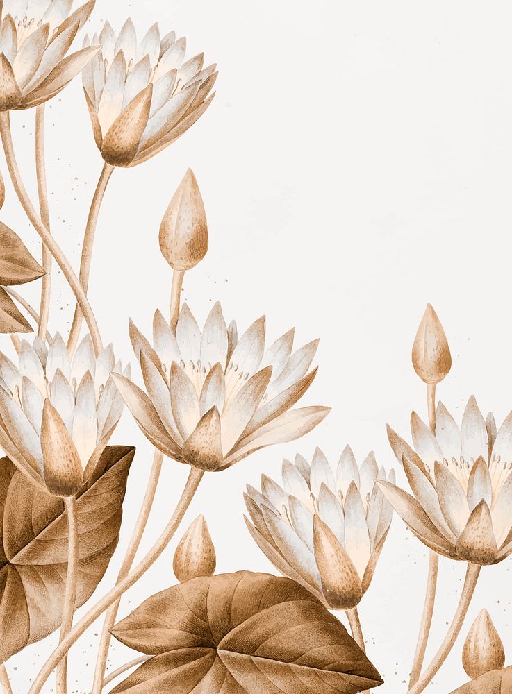Egyptian lotus vintage illustration vector, remix from original artwork of Pierre-Joseph Redout&eacute;.