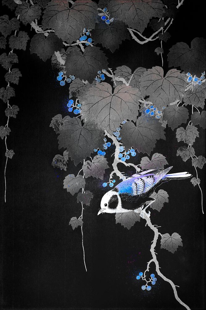 Great tit bird on a paulownia branch vintage illustration, remix from original artwork.