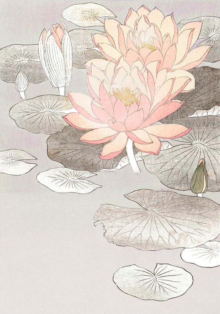 Water lily vintage wall art print poster design remix from original artwork by Ohara Koson.