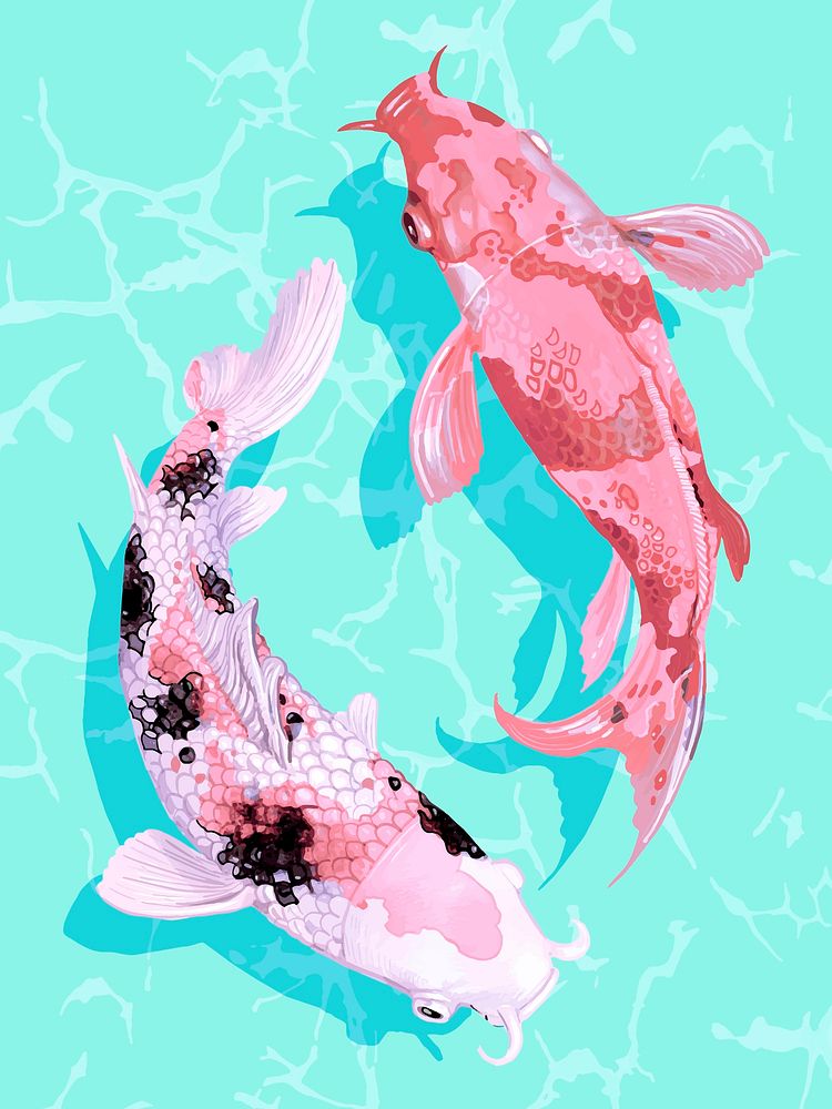 Two Japanese Koi fish swimming wall art print and poster vector
