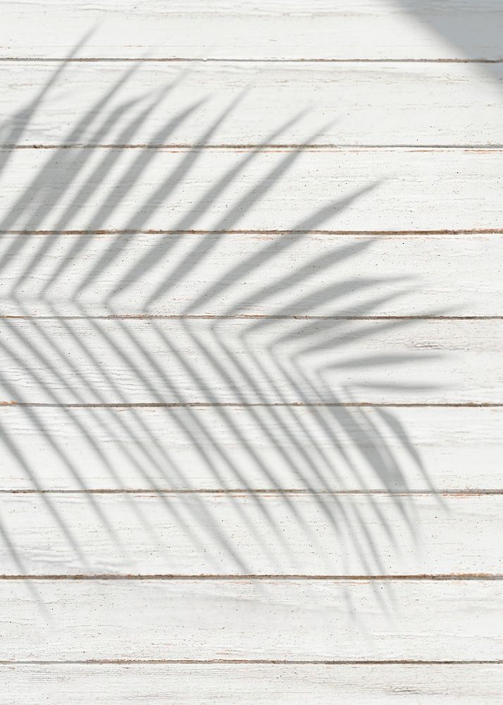 White wooden plank with a leaf shadow background