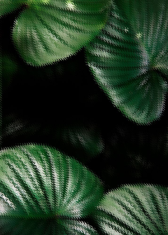 Tropical philodendron leaves on black background