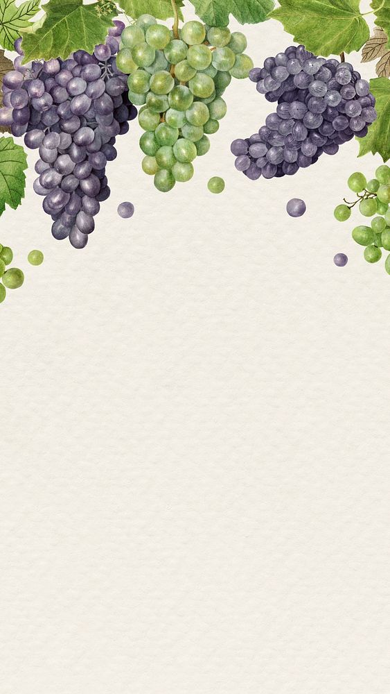 Hand drawn natural fresh grape patterned frame