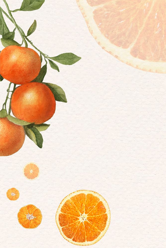 Hand drawn natural fresh orange frame vector