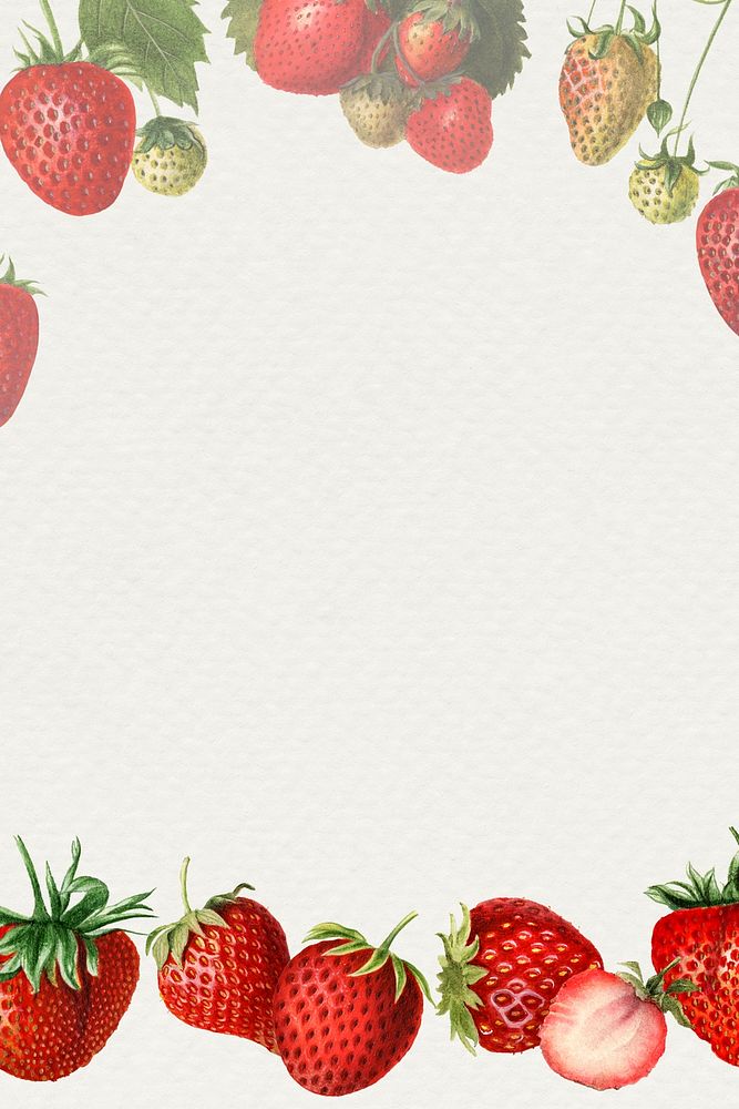 Hand drawn natural fresh strawberry patterned frame