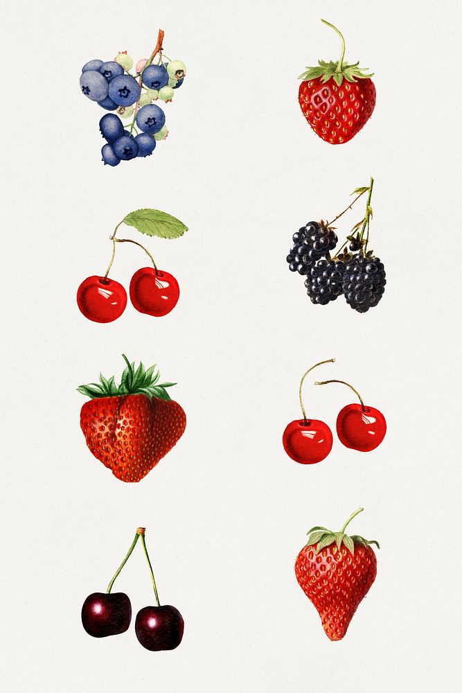 Detailed hand drawn fresh mixed berries set