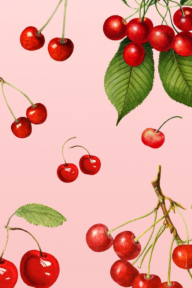 Hand drawn natural fresh red cherry pattered background