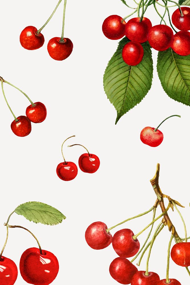 Hand drawn natural fresh red cherry patterned background vector