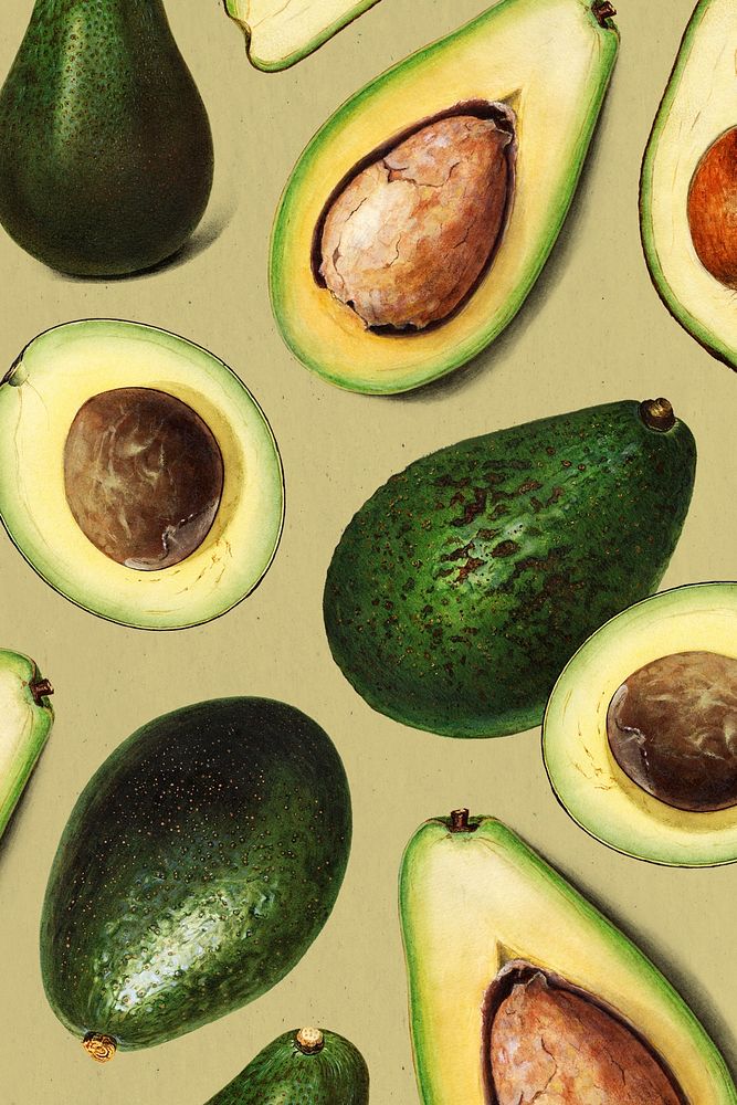 Hand drawn natural fresh avocado patterned background