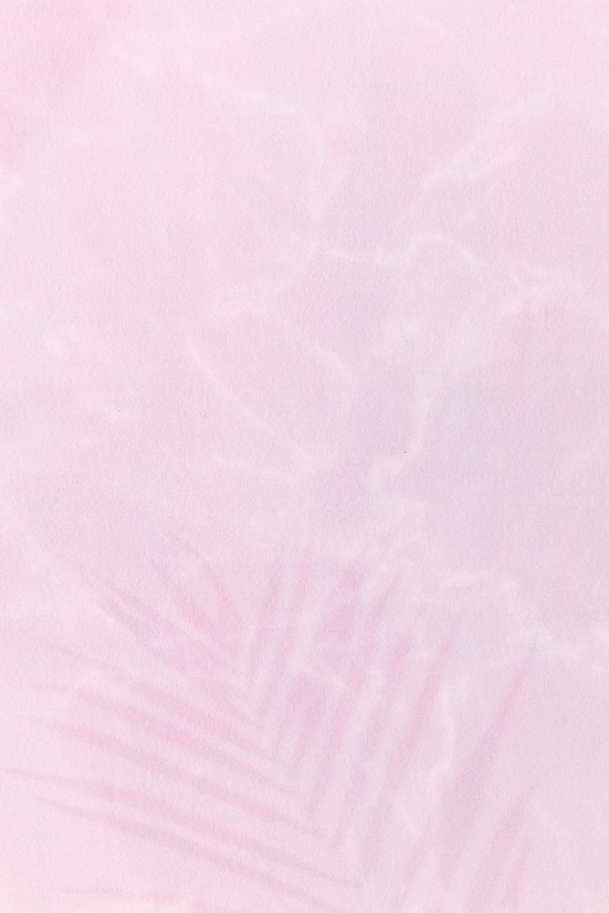 Palm leaf shadow on a light pink background