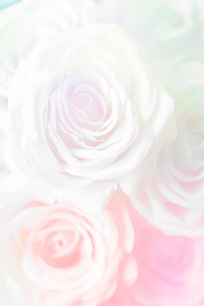 Pink rose patterned background