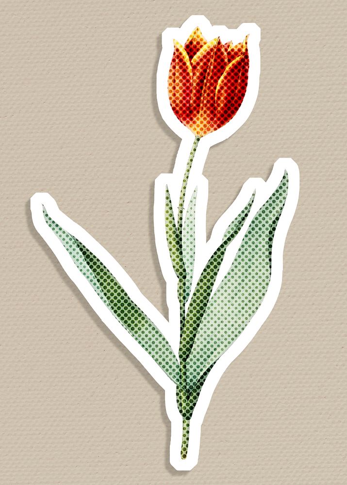 Hand drawn tulip flower halftone style sticker with a white border illustration
