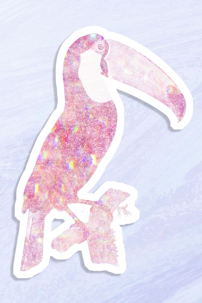 Pink holographic Toco toucan bird sticker with white border