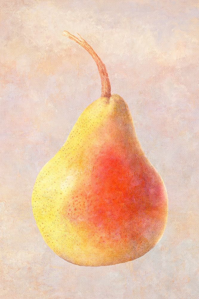 Hand drawn pear illustration