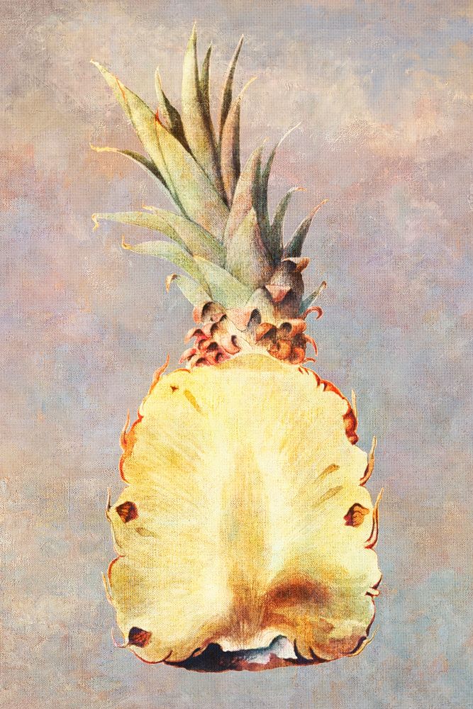 Hand drawn sliced pineapple illustration