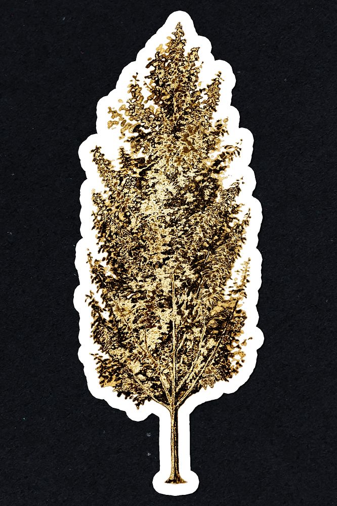 Gold pear tree sticker with a white border