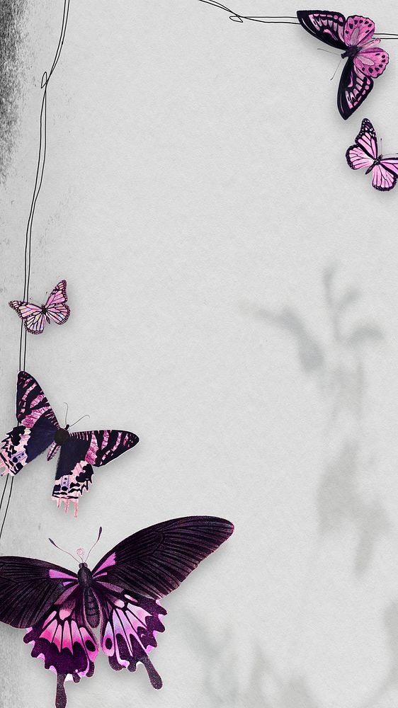 Pink butterfly on a gray background