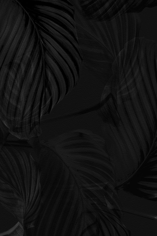 Dark calathea leaves background design resource 