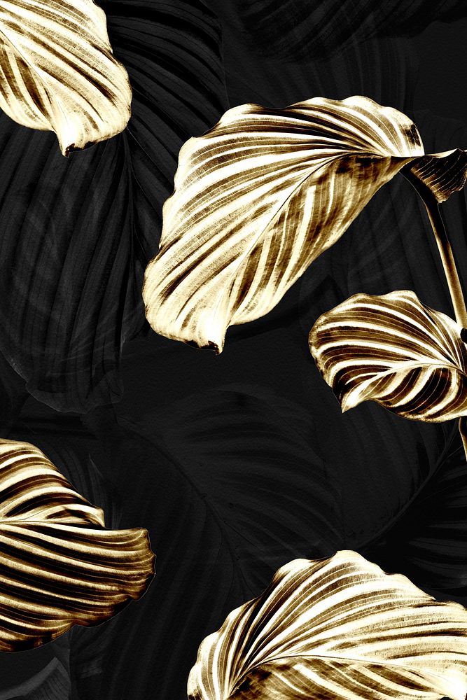 Shiny golden calathea leaves background 