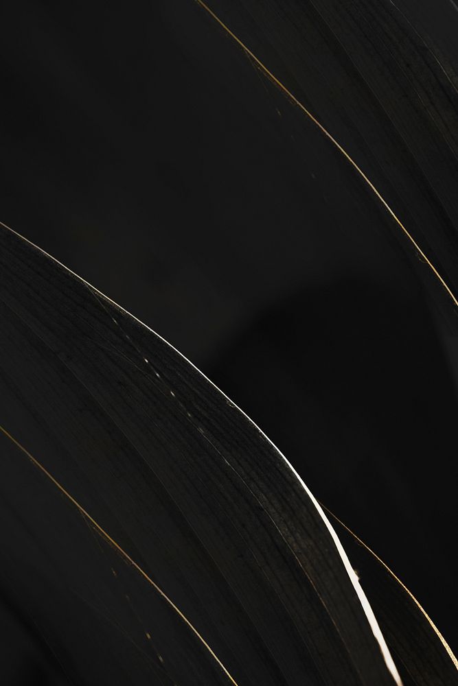White and golden streaks on a black background