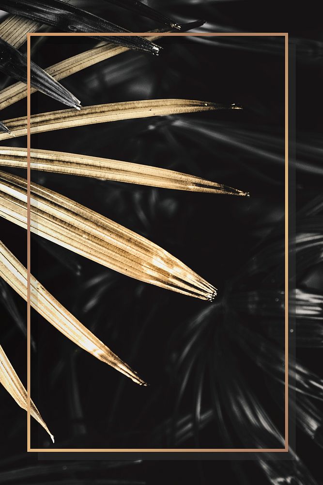 Golden rectangle palm leaves frame design resource