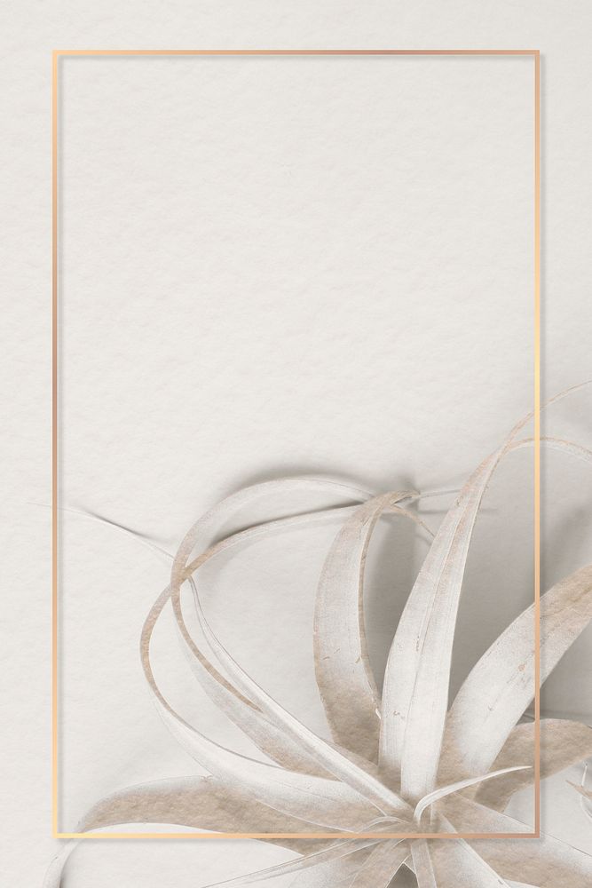 Golden rectangle frame on a white tillandsia plant background