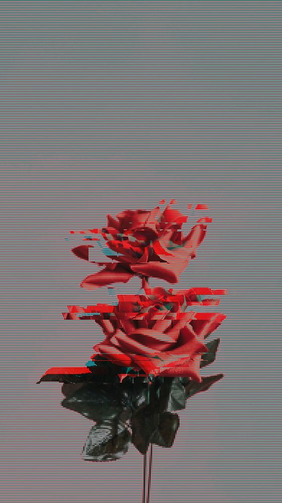 Red rose with glitch effect mobile wallpaper