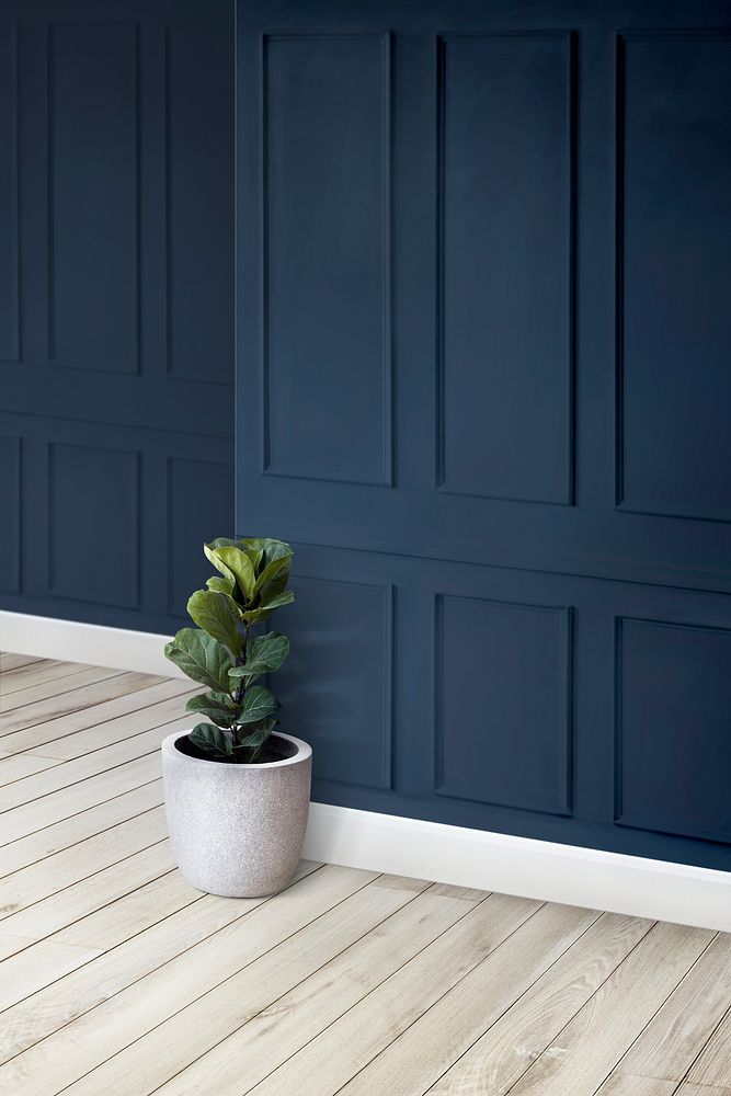 Empty blue wall corner with plant pot on a wooden floor