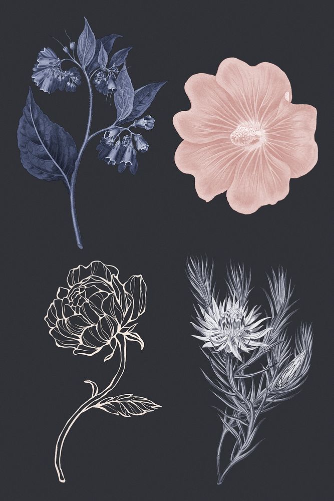Hand drawn flower in vintage style design element set on a dark background